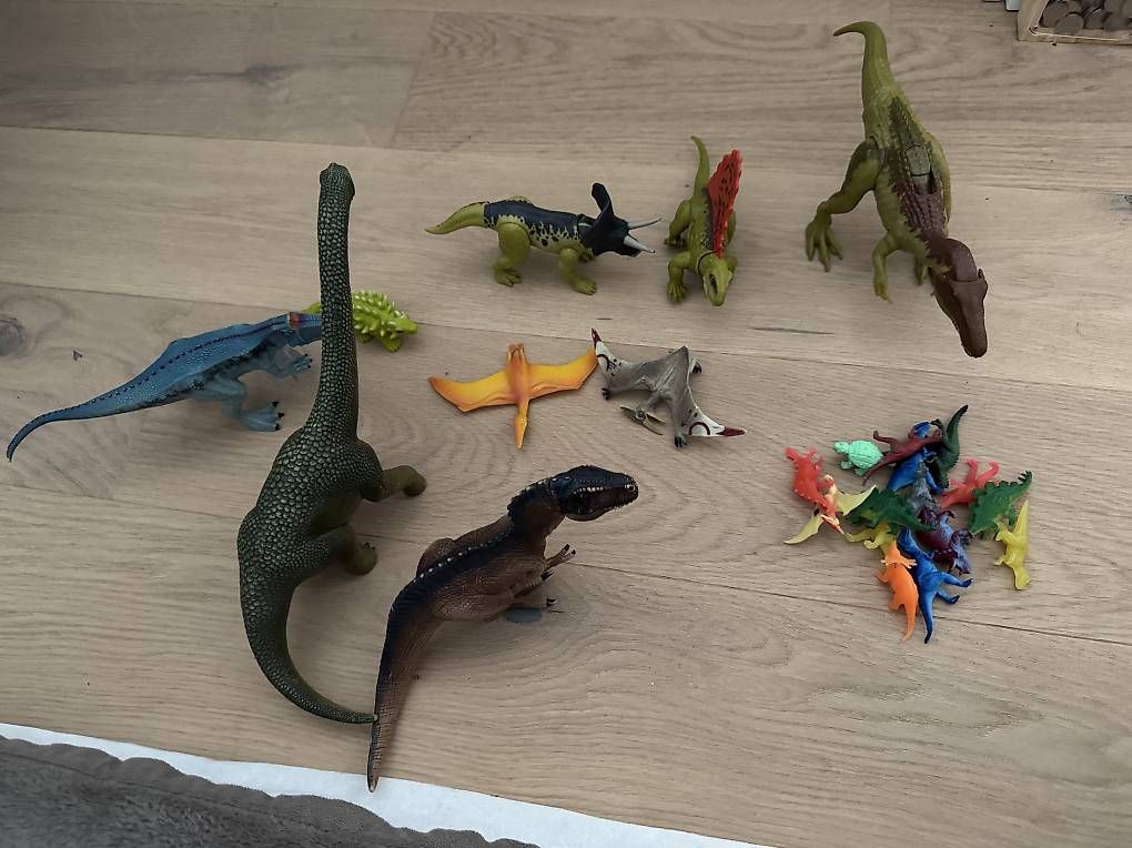 Jouets: Dinosaurier-Set ca. 20-teilig – D'occasion à Chur par Catalina01 1