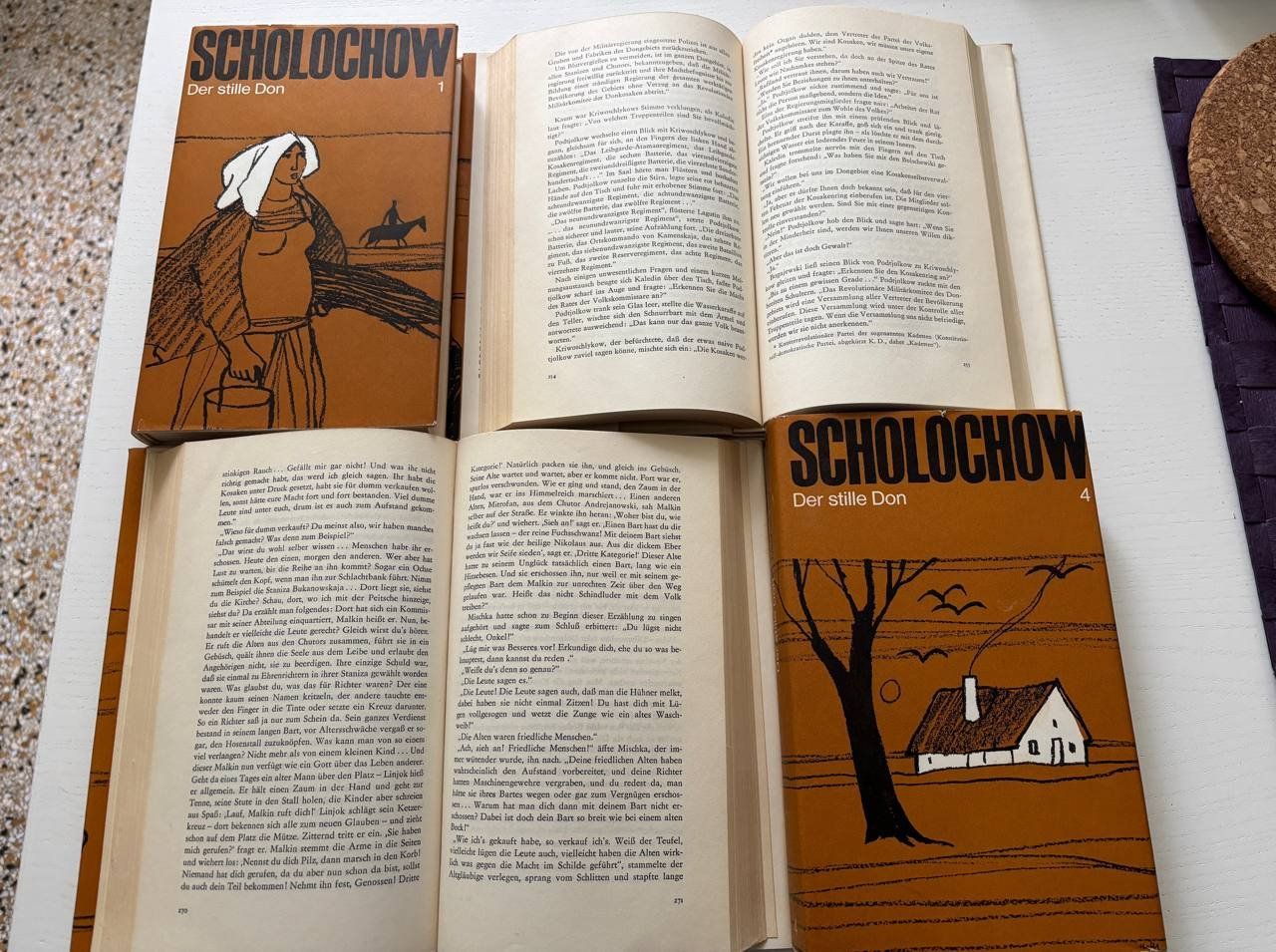 Libri: Der stille Don – Usato da Bern venduto da Merhleen 1