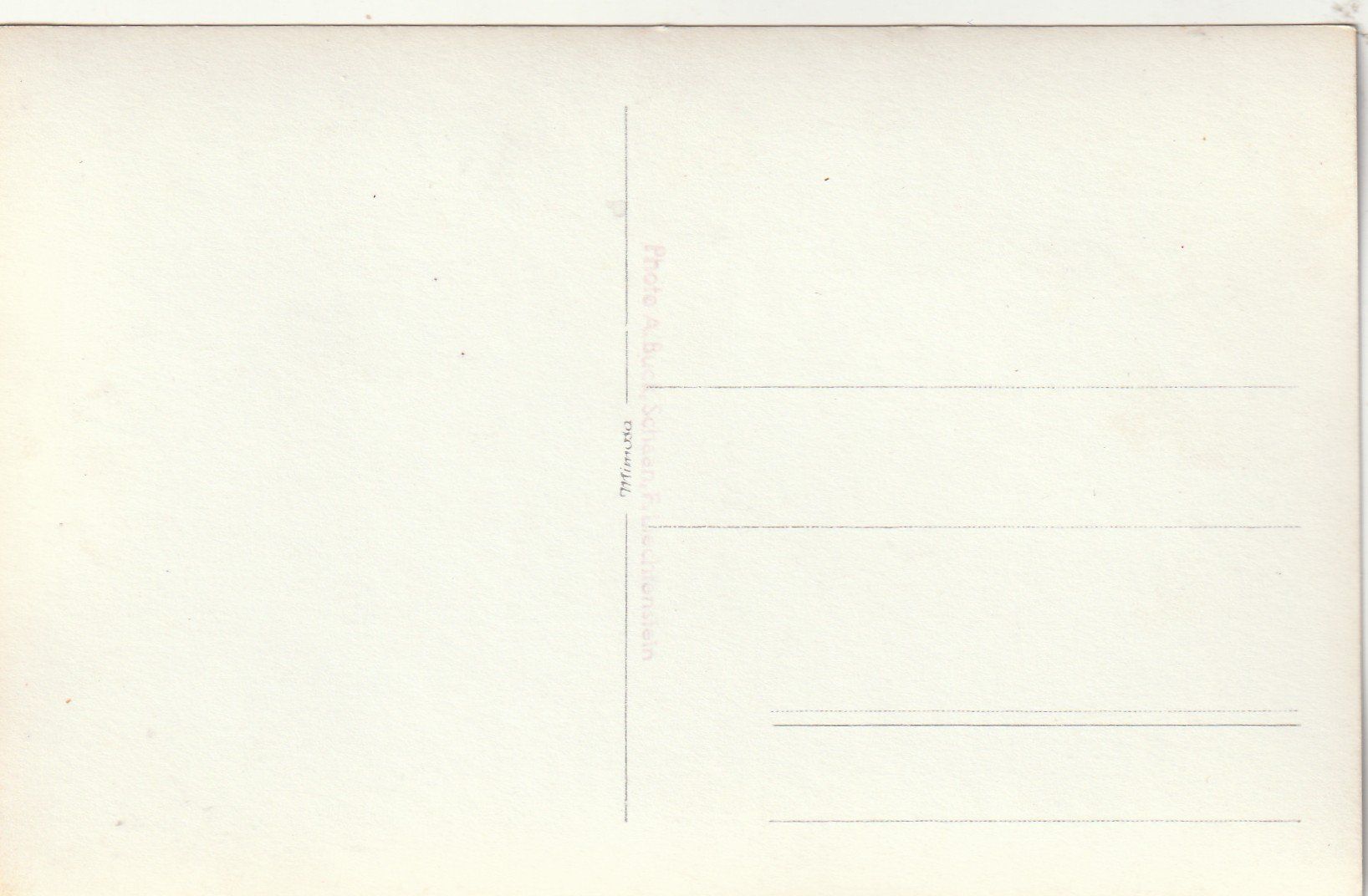 Cartes postales: Vaduz Umzug – D'occasion à Rorschacherberg par fratovi2 1