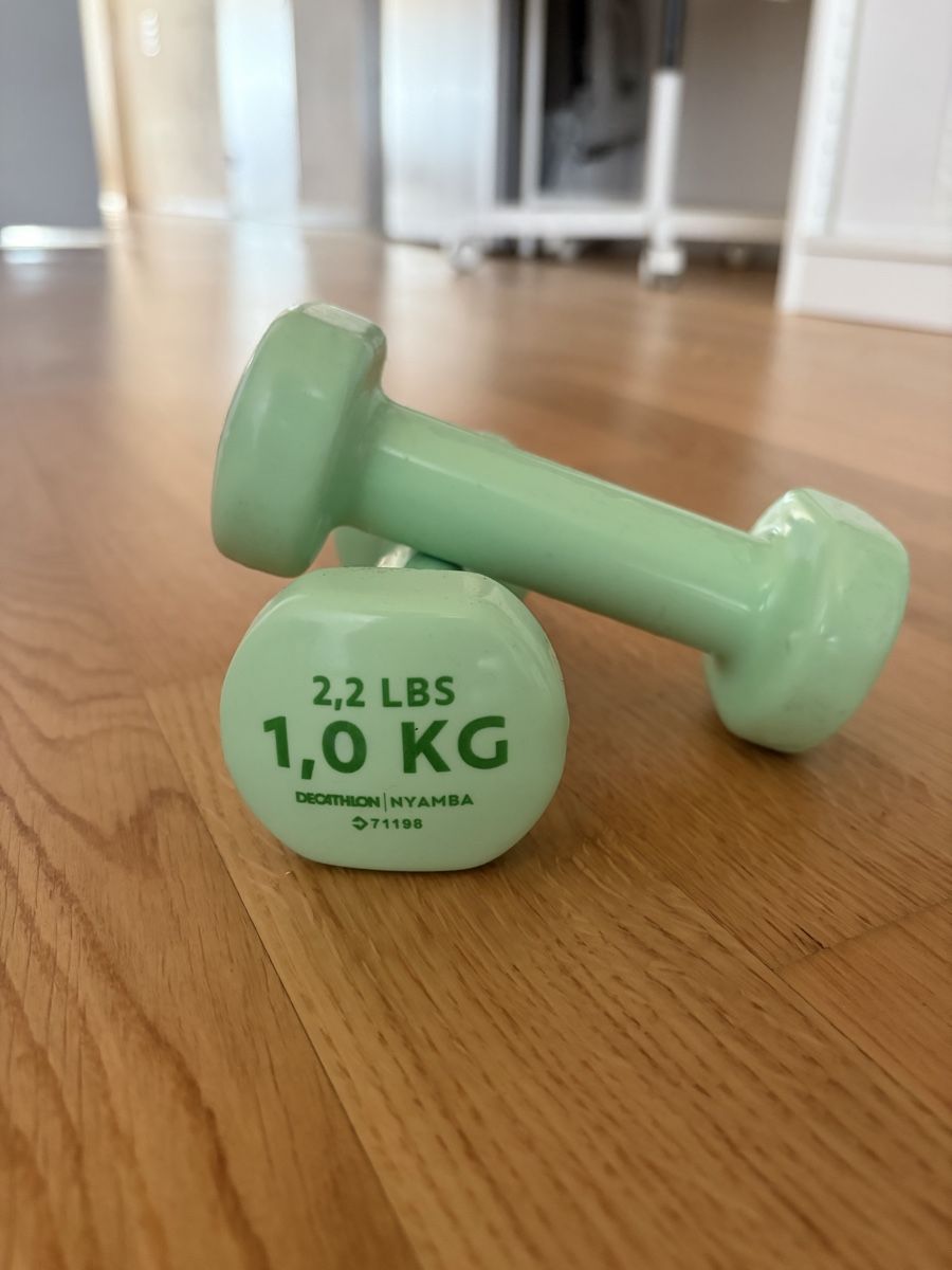 Decathlon Manubri & Pesi: Decathlon Hanteln 1,5kg – Nuovo (secondo la descrizione) da Winterthur venduto da Milaalim