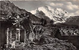 Wengen, Alphütten und Jungfrau