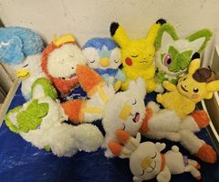 Pokemon Plüsch Set