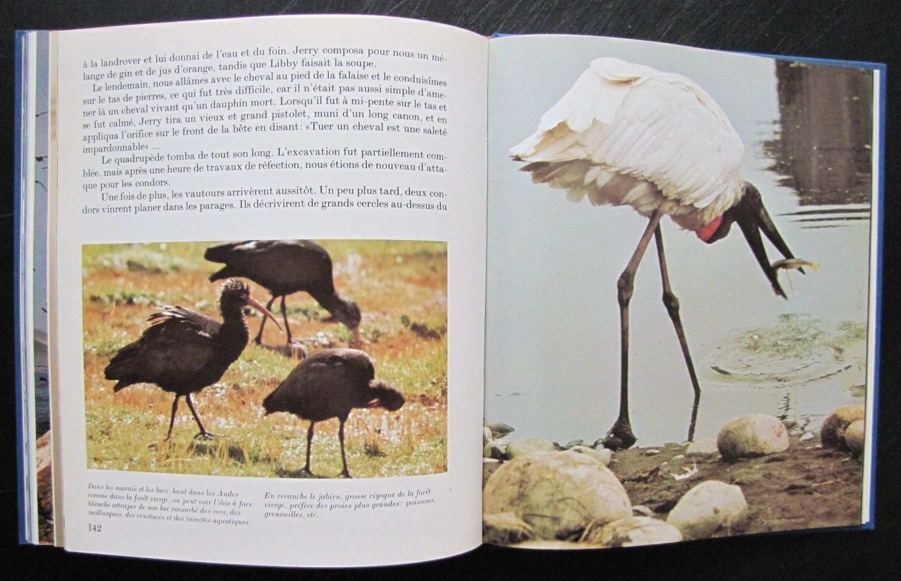 Libri: Oiseaux des terres lointaines. Ed Mondo – Usato da Genève venduto da Brindisina2019 9