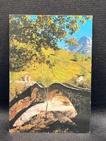 Lavertezzo (Valle Verzasca)