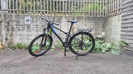 Kinder- / Jugendfahrrad Wheeler