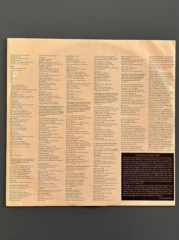 Dischi in vinile: The Jacksons - 2300 Jackson St. – Usato da Urdorf venduto da mapet01 1