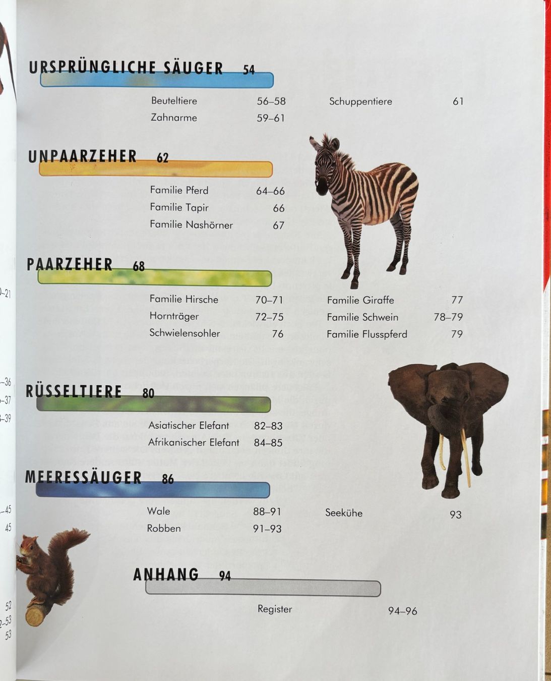 Libri: Die Säugetiere – Nuovo (secondo la descrizione) da Sarnen venduto da Livres 3
