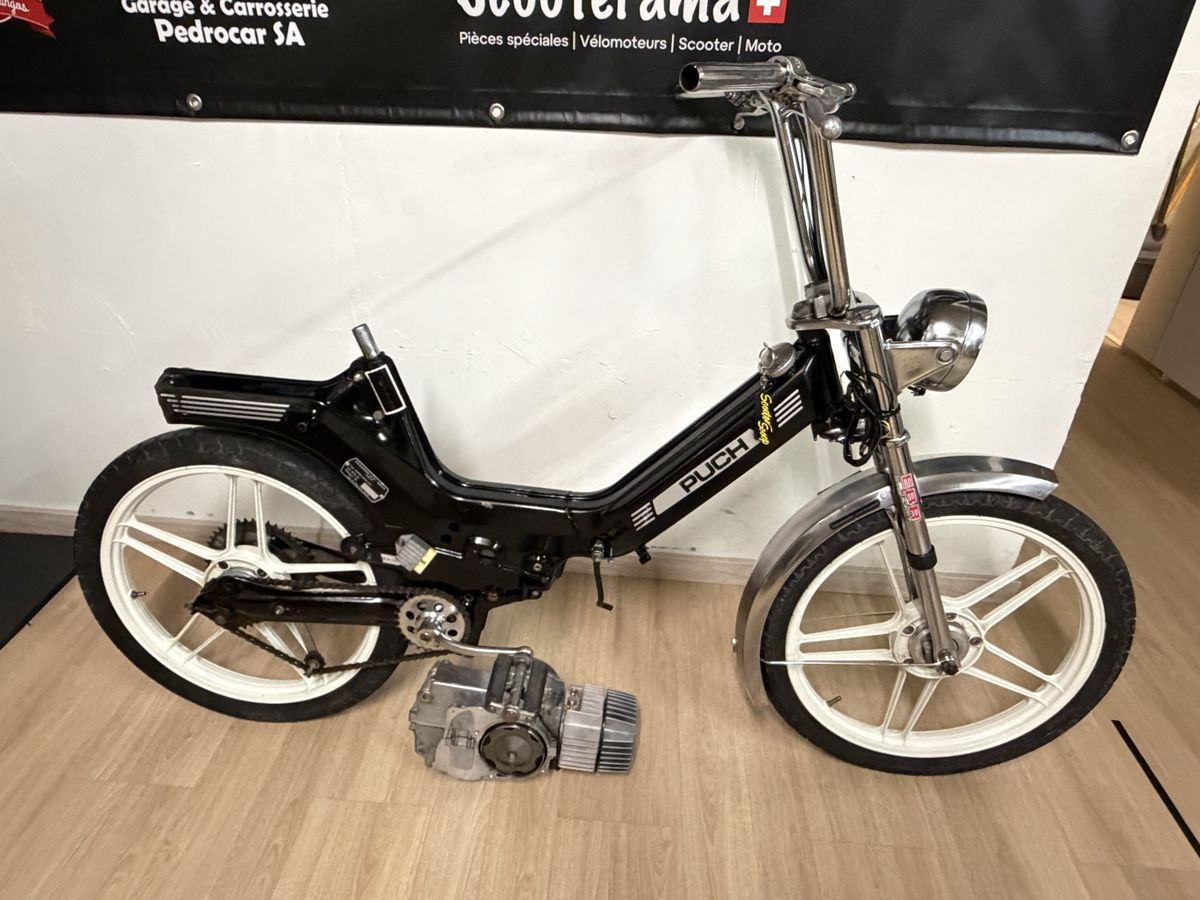 Puch Mofas: Puch Maxi  – Gebraucht aus Les Acacias von Alfredani