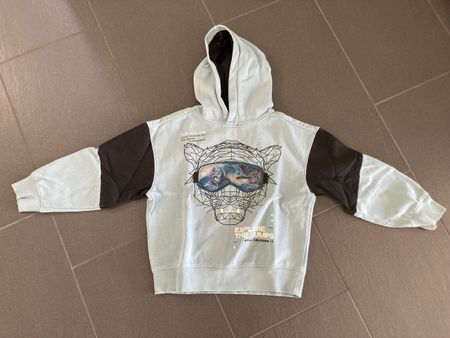 Jungen Sweatshirt Gr. 134