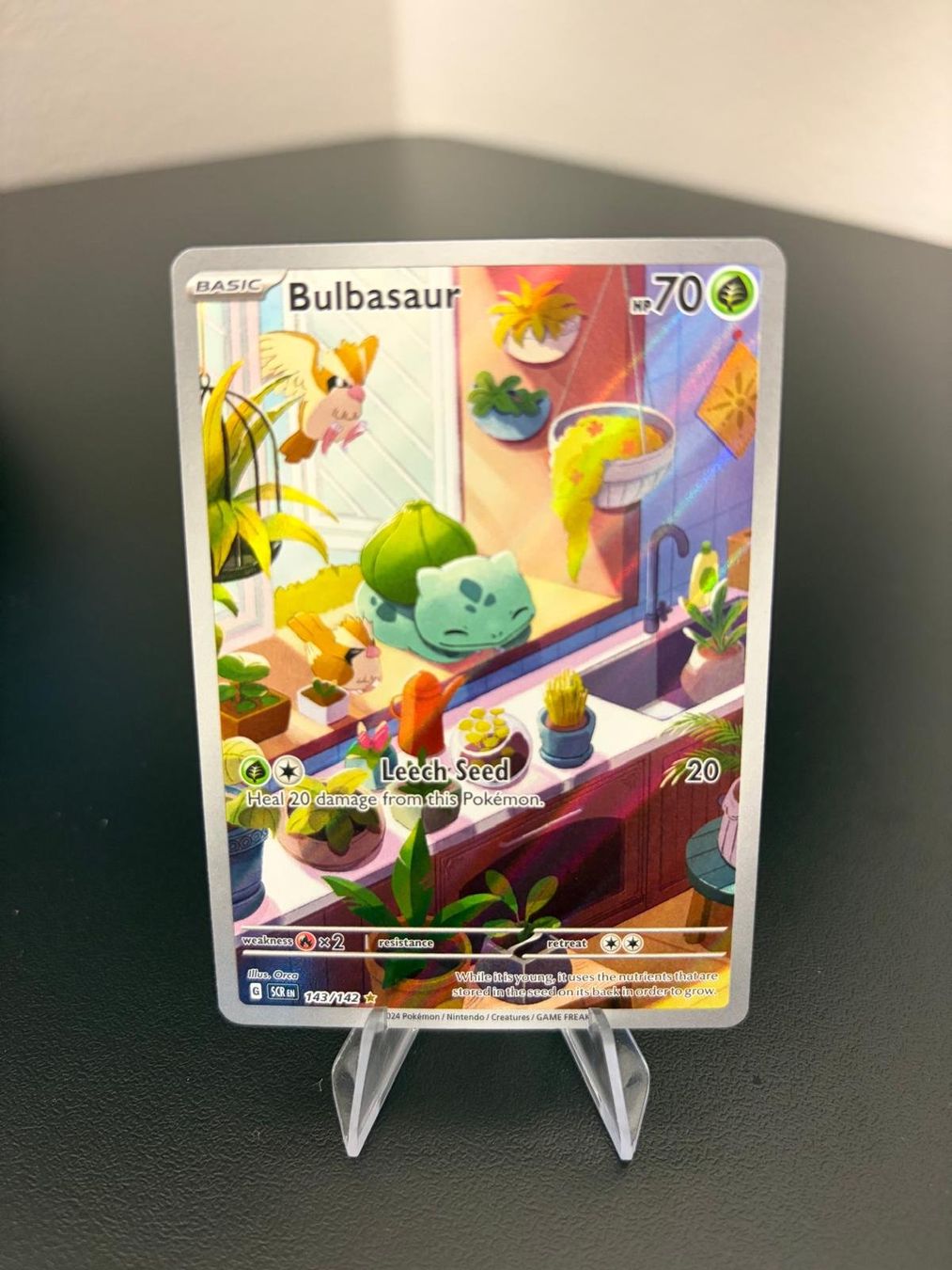 Pokémon Carte collezionabili: Bulbasaur 143 - englisch – Nuovo (secondo la descrizione) da Bern venduto da GiulianoMas