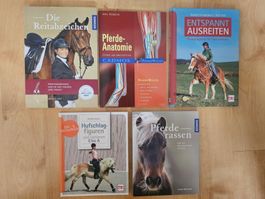 Pferdewissen für Brevet/Reitabzeichen: 5 Bücher zu Top-Preis