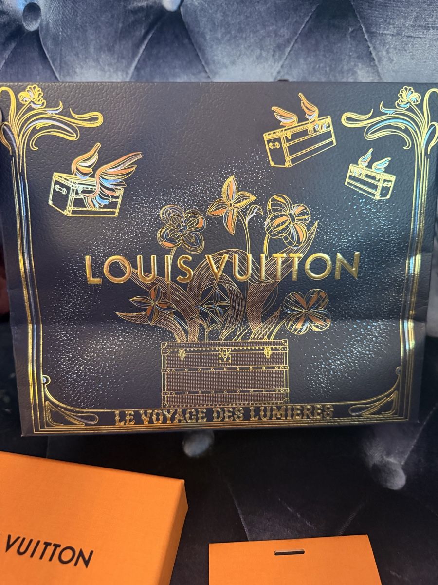 Borse: Limited Design Louis Vuitton Set – Usato da Buchs ZH venduto da tiz_9mpn 3
