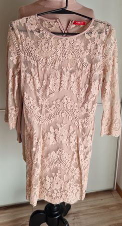 Elegantes Spitzenkleid in Rosé, Grösse 36 Guess