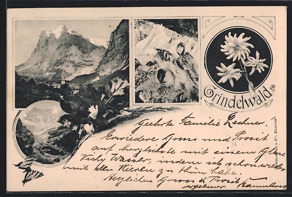 Cartoline postali: Grindelwald, Ortsansicht im Bergidyll, H – Usato da Berlin venduto da bartko-reher