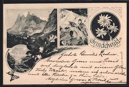 Grindelwald, Ortsansicht im Bergidyll, H