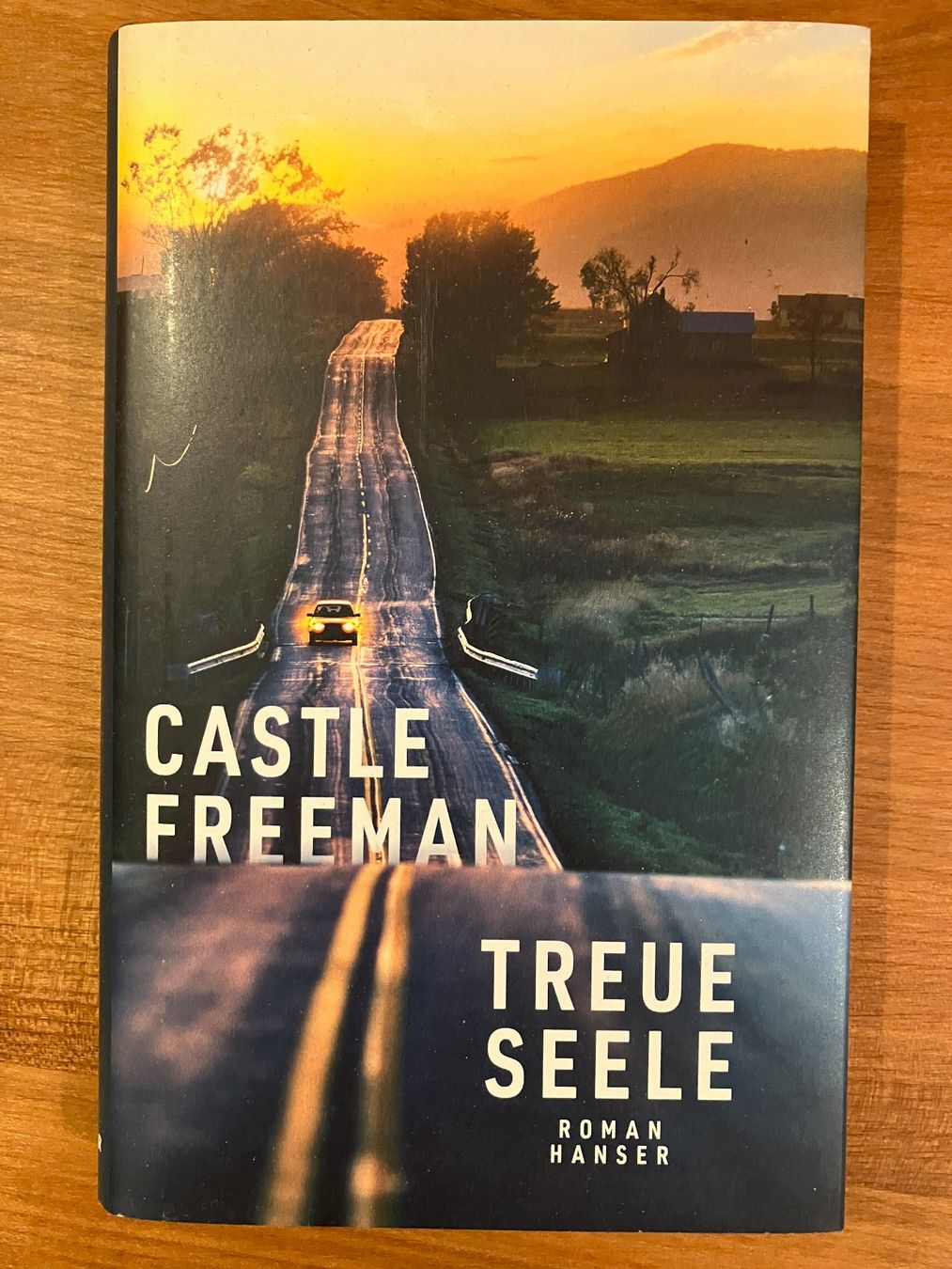Libri: Treue Seele von Castle Freeman – Nuovo (secondo la descrizione) da Kammersrohr venduto da mbs