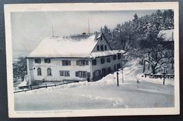 Baldern(Uetliberg) 1915