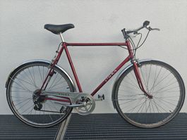 Vintage Herrenvelo Tigra