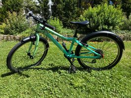 Kindervelo Crosswave 24 Zoll