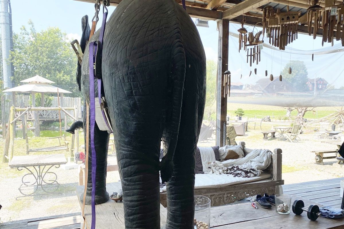 Statuette: Riesiger Elefant -  einzigartiges Dekostück – Usato da Ballwil venduto da ClassicGallery 3