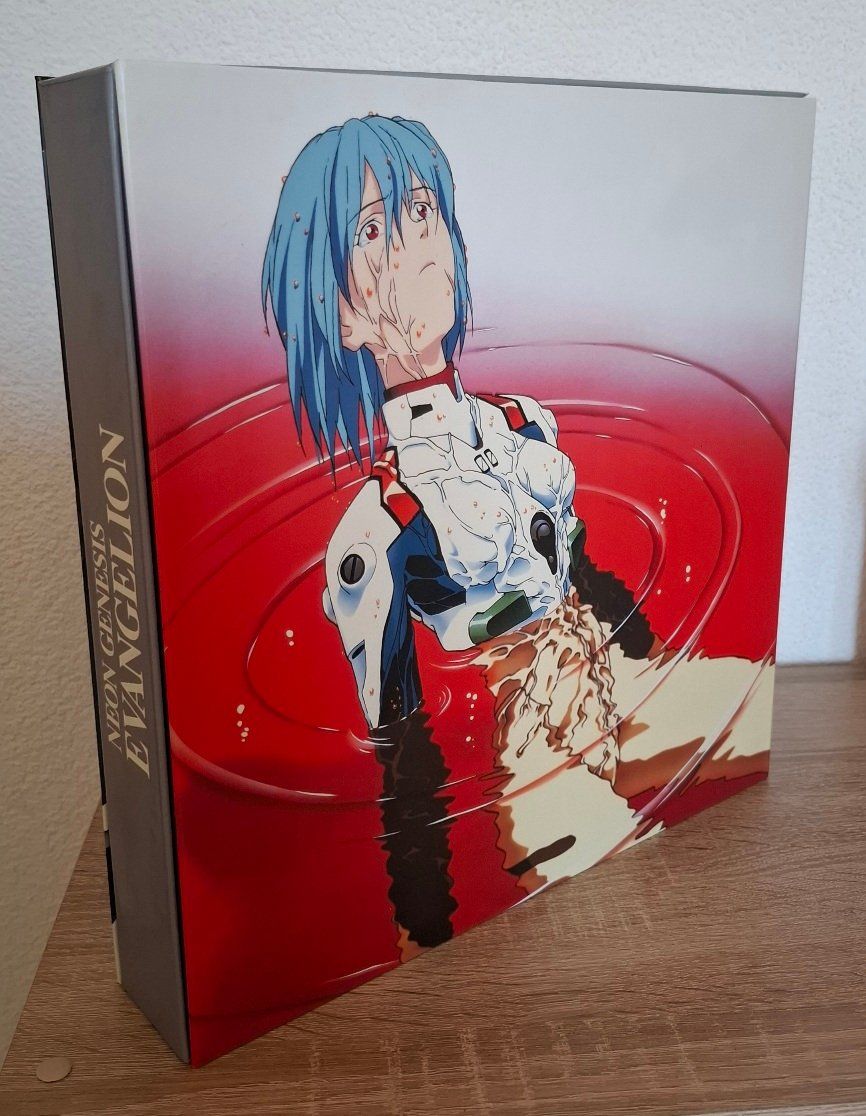 Tous les DVDs: NEON GENESIS EVANGELION – D'occasion à Neuhausen par noicon