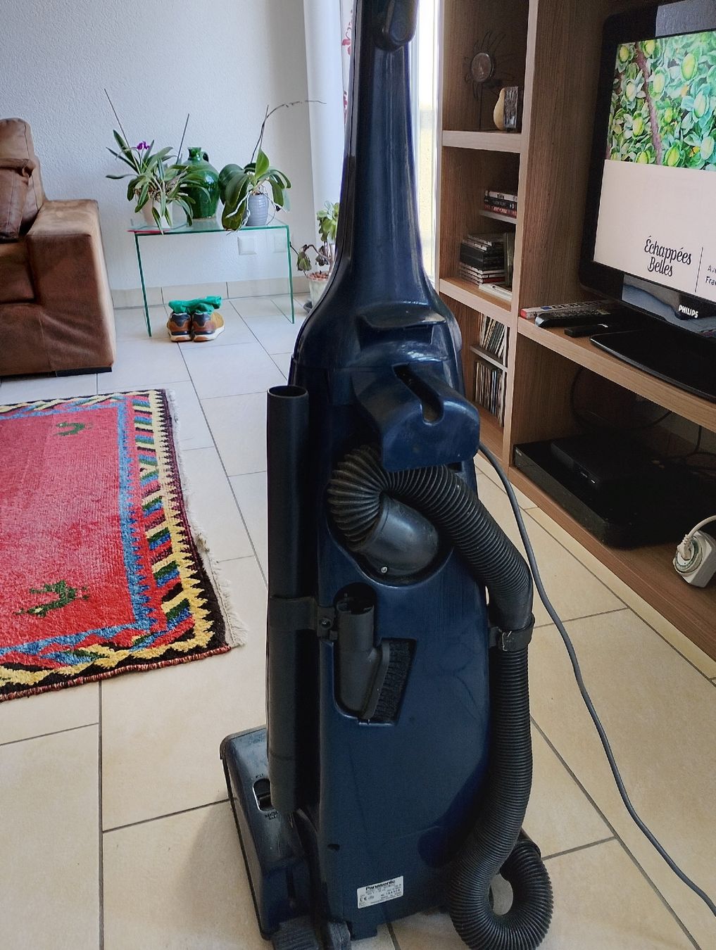 Panasonic Aspirapolveri & Accessori: Aspirateur brosseur Panasonic MC-E451 – Usato da Versoix venduto da Lc.1 3