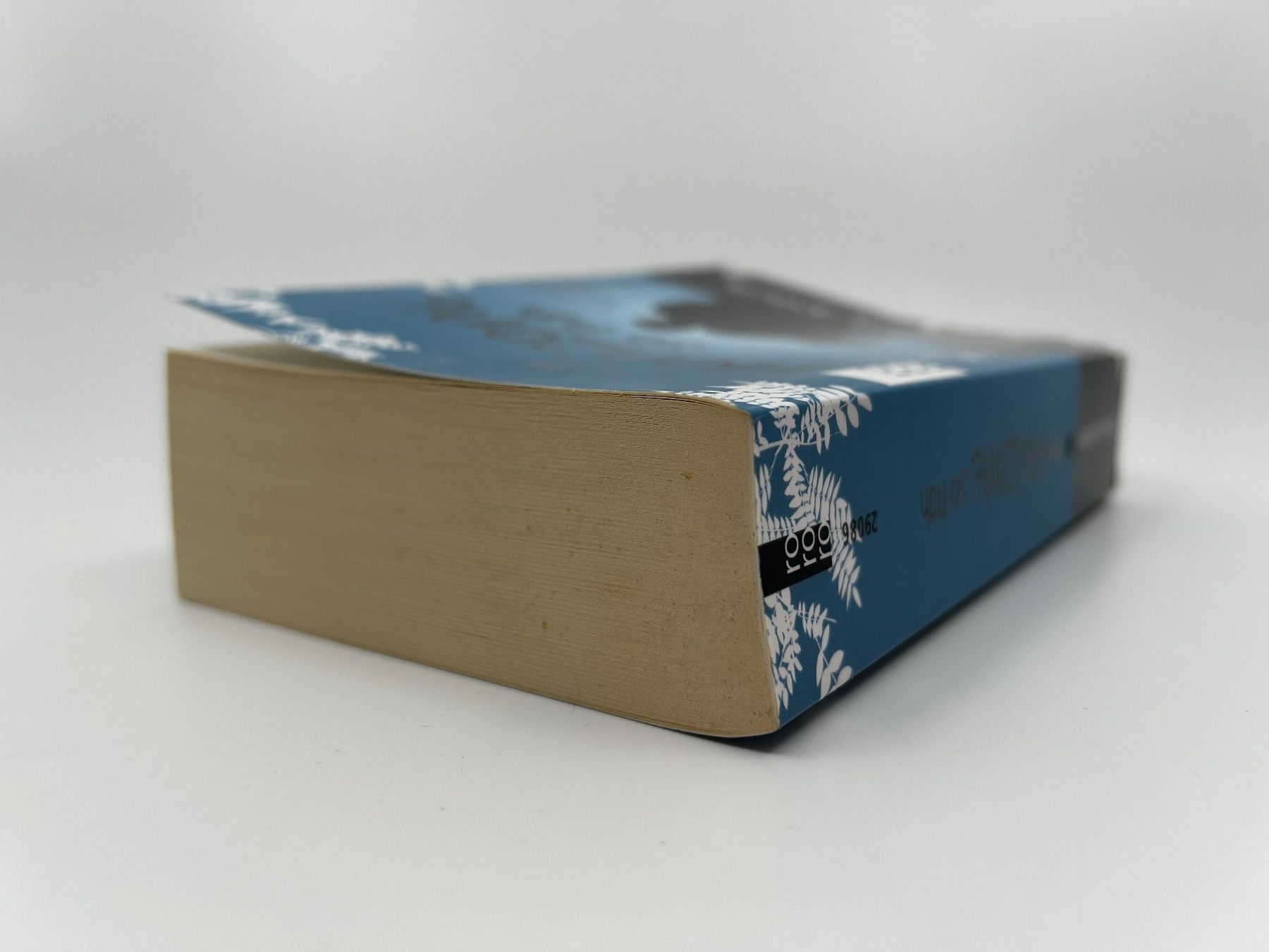 Libri: Dem Horizont so nah (Jessica Koch) – Usato da Pfeffingen venduto da guvalia 3