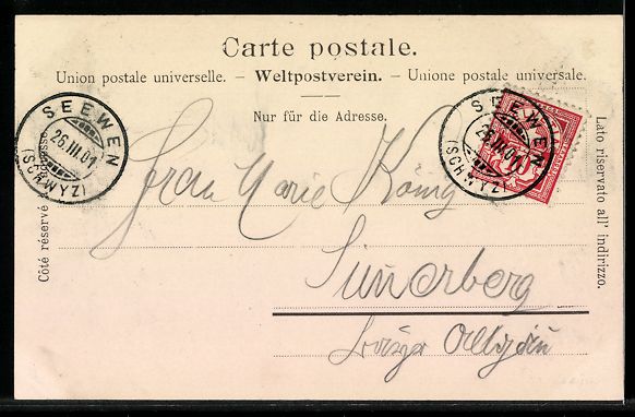 Cartoline postali: Schwyz, Ortsansicht mit Kirche und Bergk – Usato da Berlin venduto da bartko-reher 1