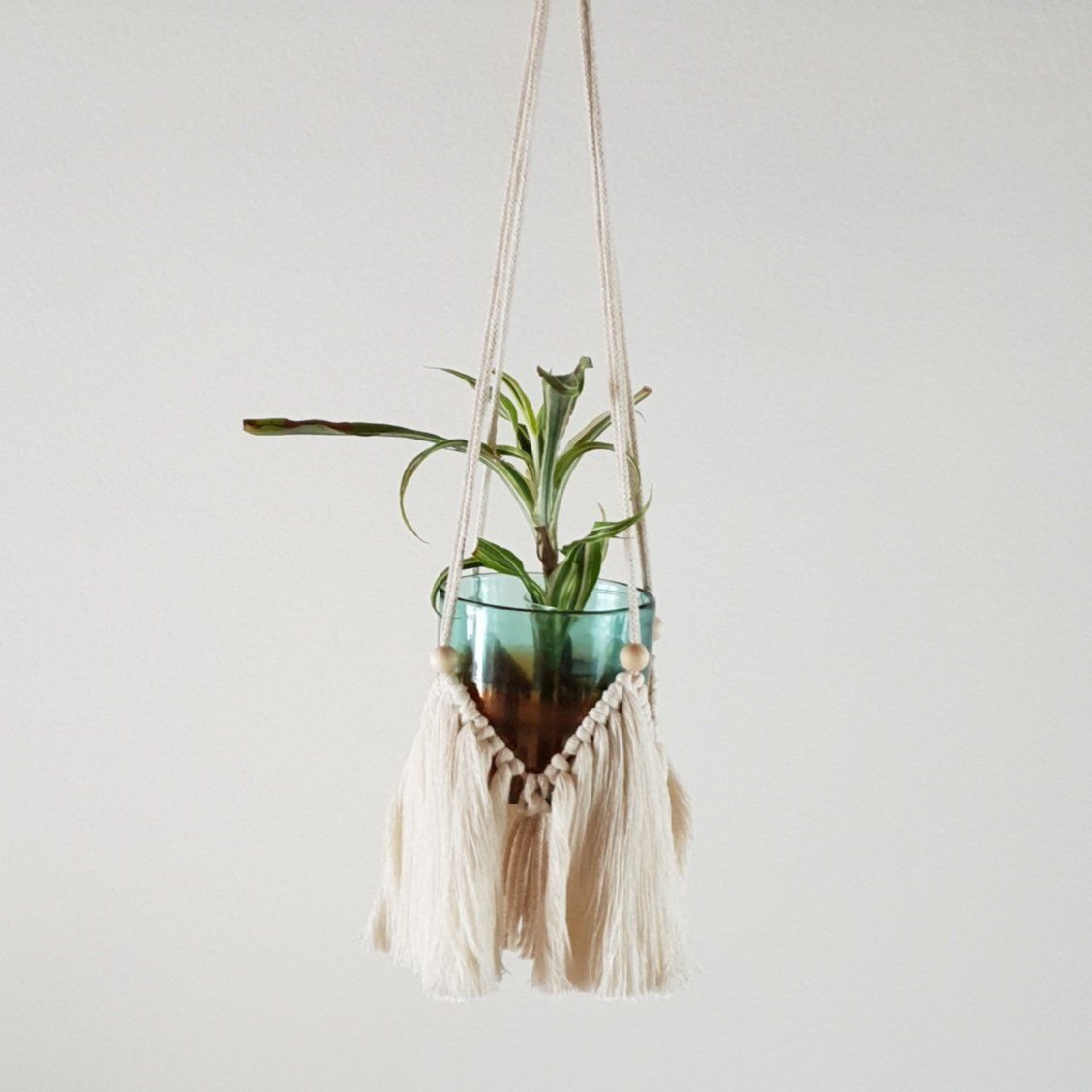 Pots de fleurs: Makramee Pflanzerhalter mit Glasstopf neu – Neuf (Voir description) à Gelterkinden par Macrameed