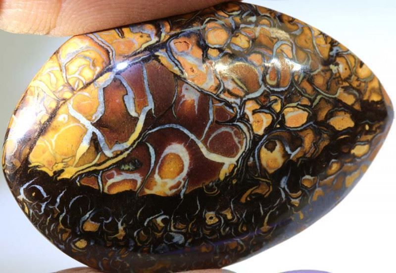 Pietre preziose: Australischer Boulder Opal 57.60Cts. – Nuovo (secondo la descrizione) da Bern venduto da Grindelwaldaus 2