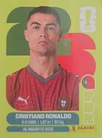 Panini 2026 