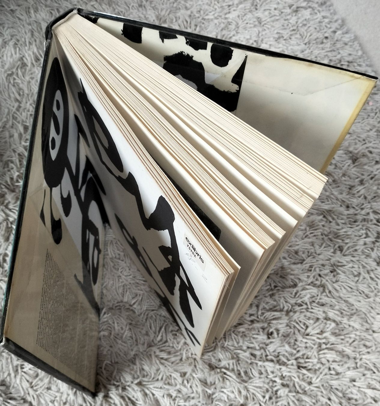 Libri: Kunstbuch "Malerei unseres Jahrhunderts" – Usato da Muri AG venduto da Thuja99 1