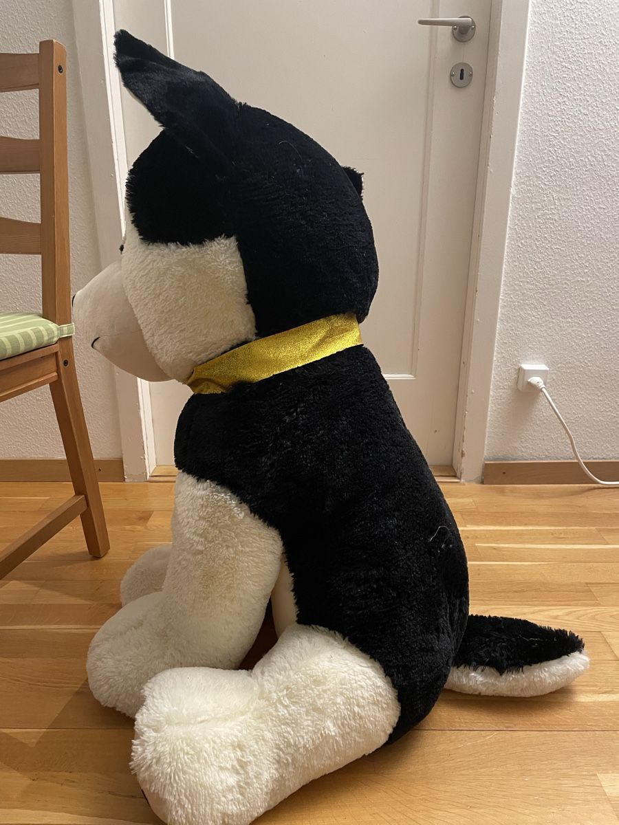 Giocattoli: Big Dog Plushy, plush, Husky – Usato da Zürich venduto da sezamki 2