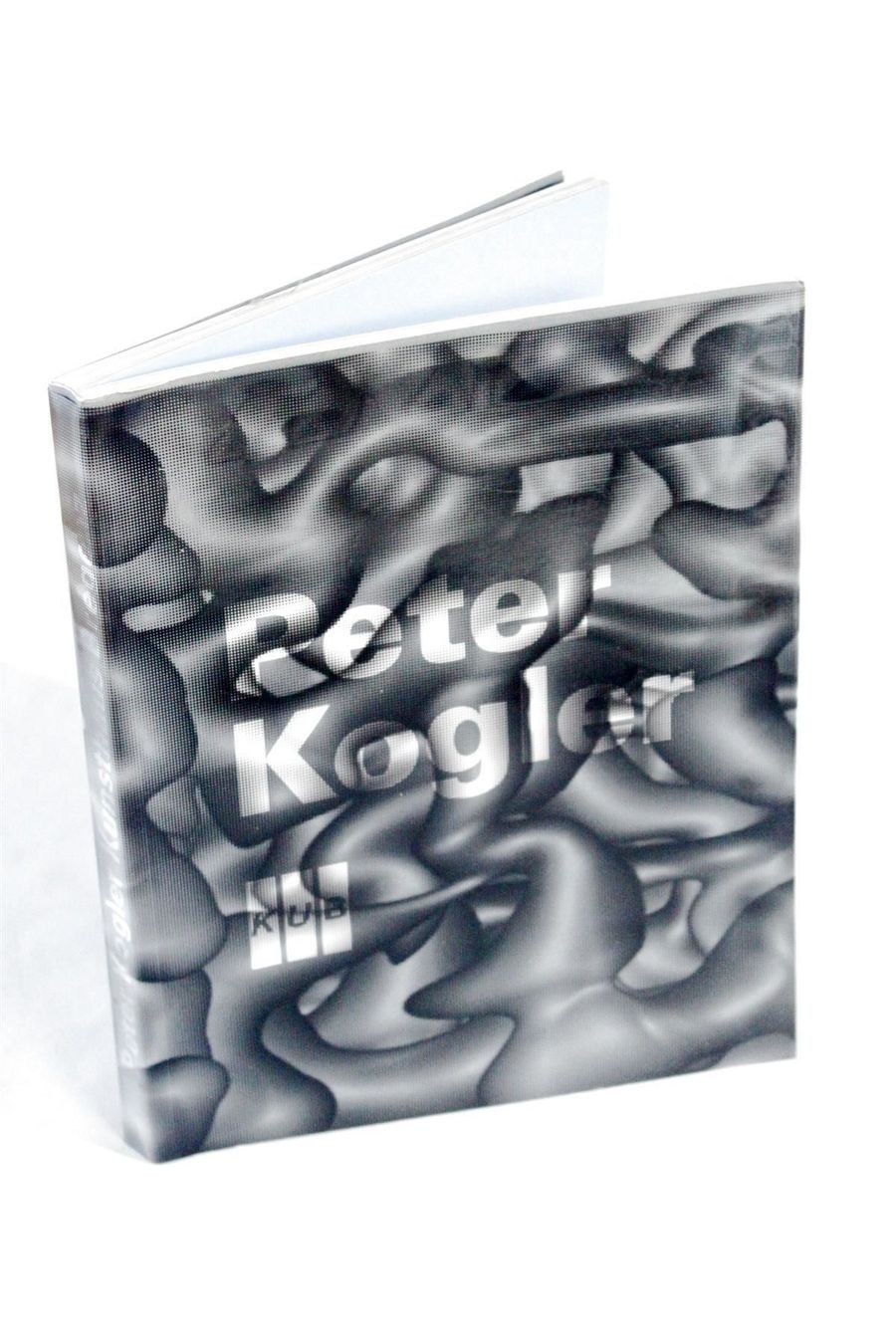 Foto & Immagini: PETER KOGLER: Kunsthaus Bregenz – Usato da Bern venduto da Arting