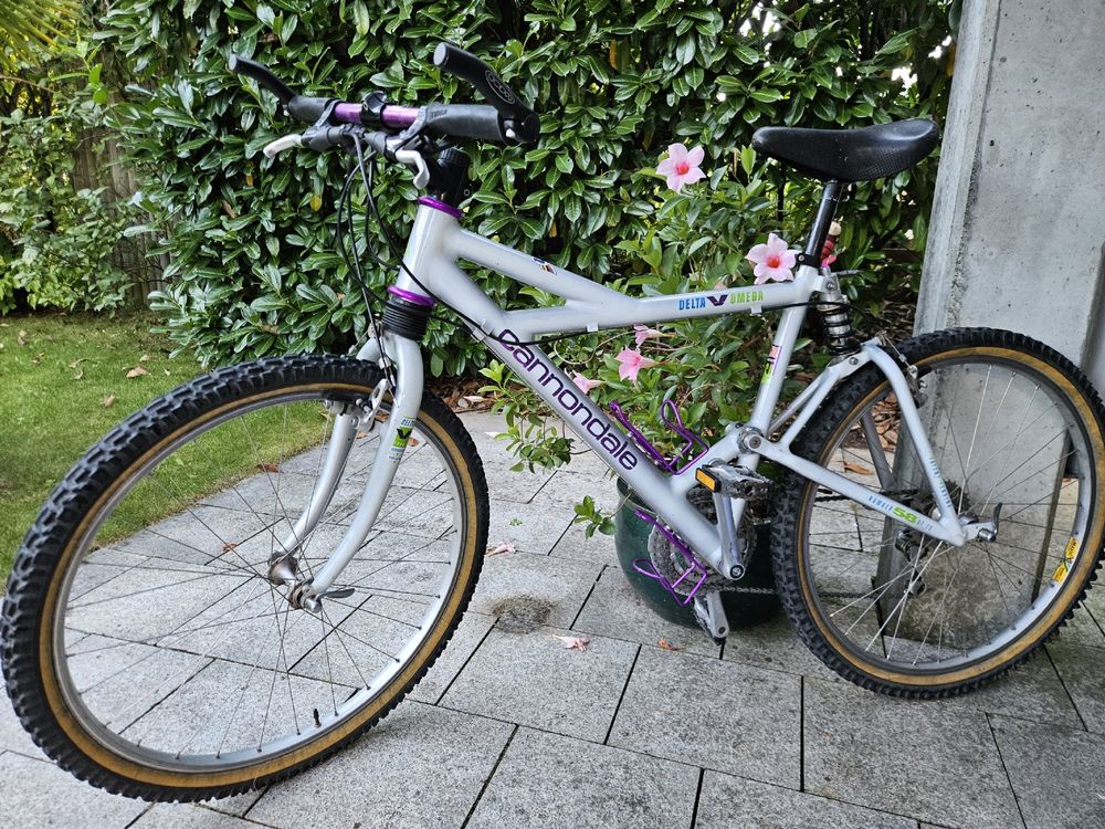 Cannondale Delta V Omega 1992 Limited Edition 58/75 (Gebraucht) in
