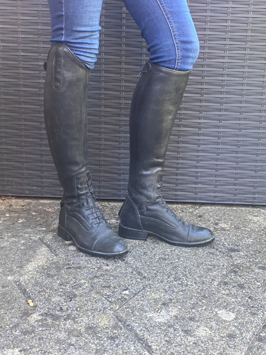 Felix Bühler Damenschuhe: Reitstiefel – Gebraucht aus Wetzikon ZH von lri_yg2t
