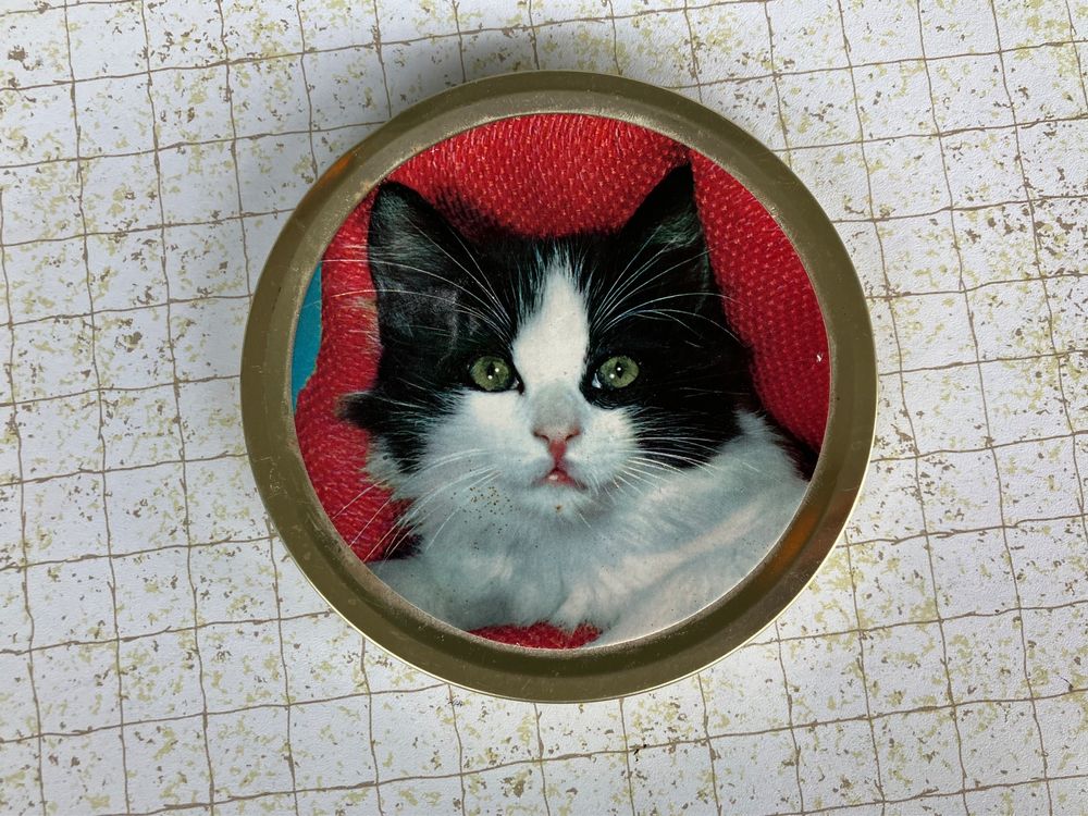 kleine Katzendose, Girrbach Schokotaler Dose Katze, Vintage | Kaufen ...