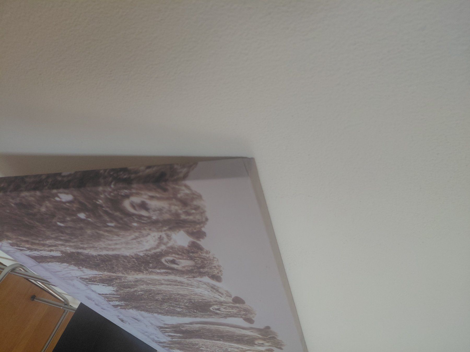 Poster & Bilder: Leinwand Druck einer Schafherde im Winter – Gebraucht aus Ebnet von Flaetsch 3