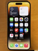 Apple iPhone 14 Pro gold 1 TB Speicher gebraucht
