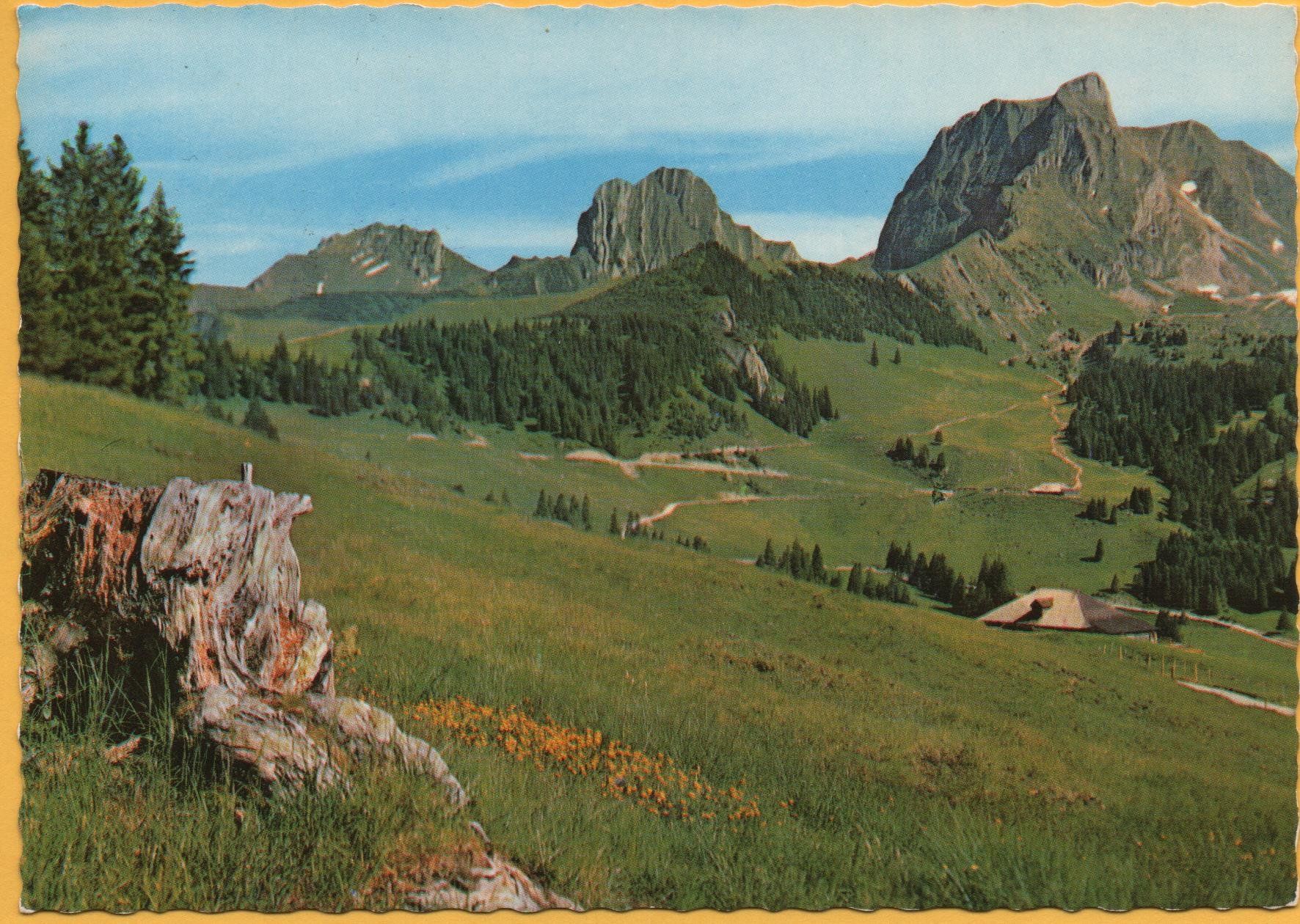 Cartes postales: GANTRISCH-SCHWEFELBERG-GEBIET – D'occasion à Jona par philajona