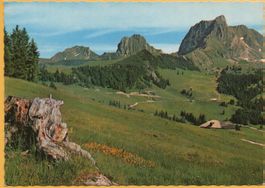 GANTRISCH-SCHWEFELBERG-GEBIET