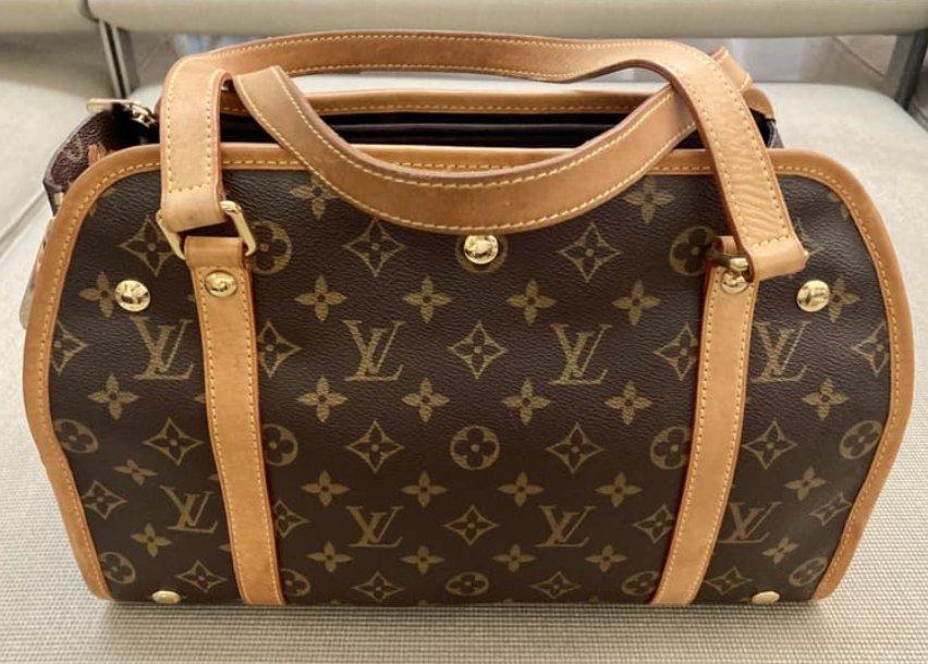 Louis Vuitton Hundetasche Baxter PM