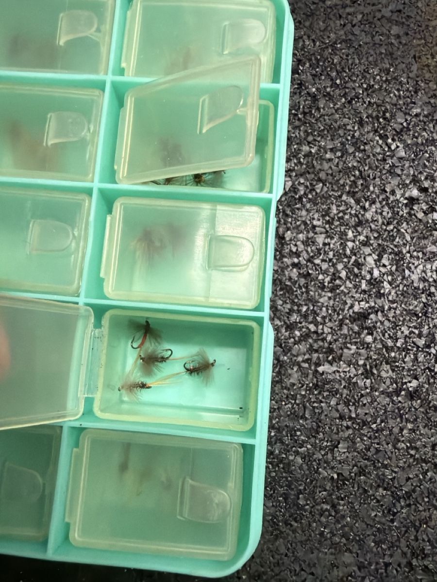 Köder: Fliegenköder in Kunststoffbox – Gebraucht aus Nesslau von deo_fqt7 4