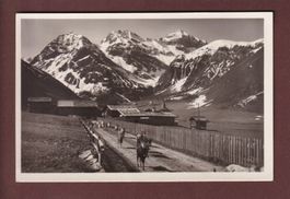 DAVOS-SERTIG - Ziegen
