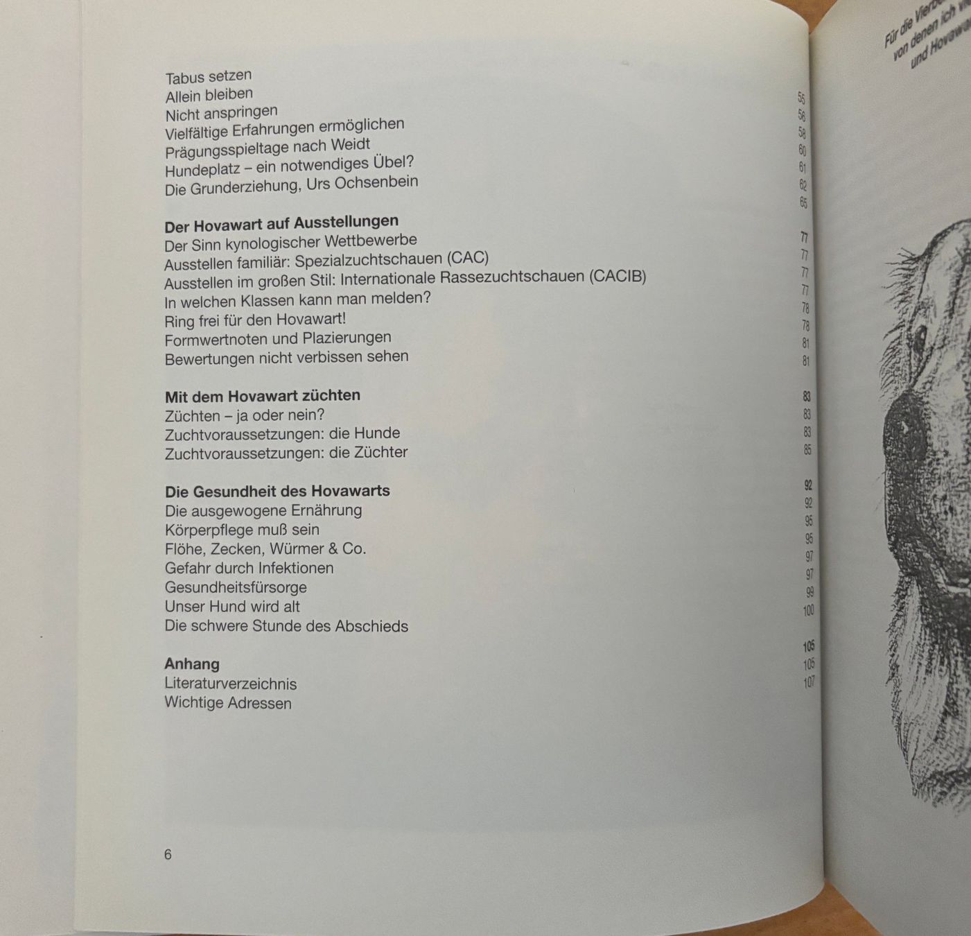 Libri: Kerl Susanne, Hovawart – Nuovo (secondo la descrizione) da Sarnen venduto da Livres 4