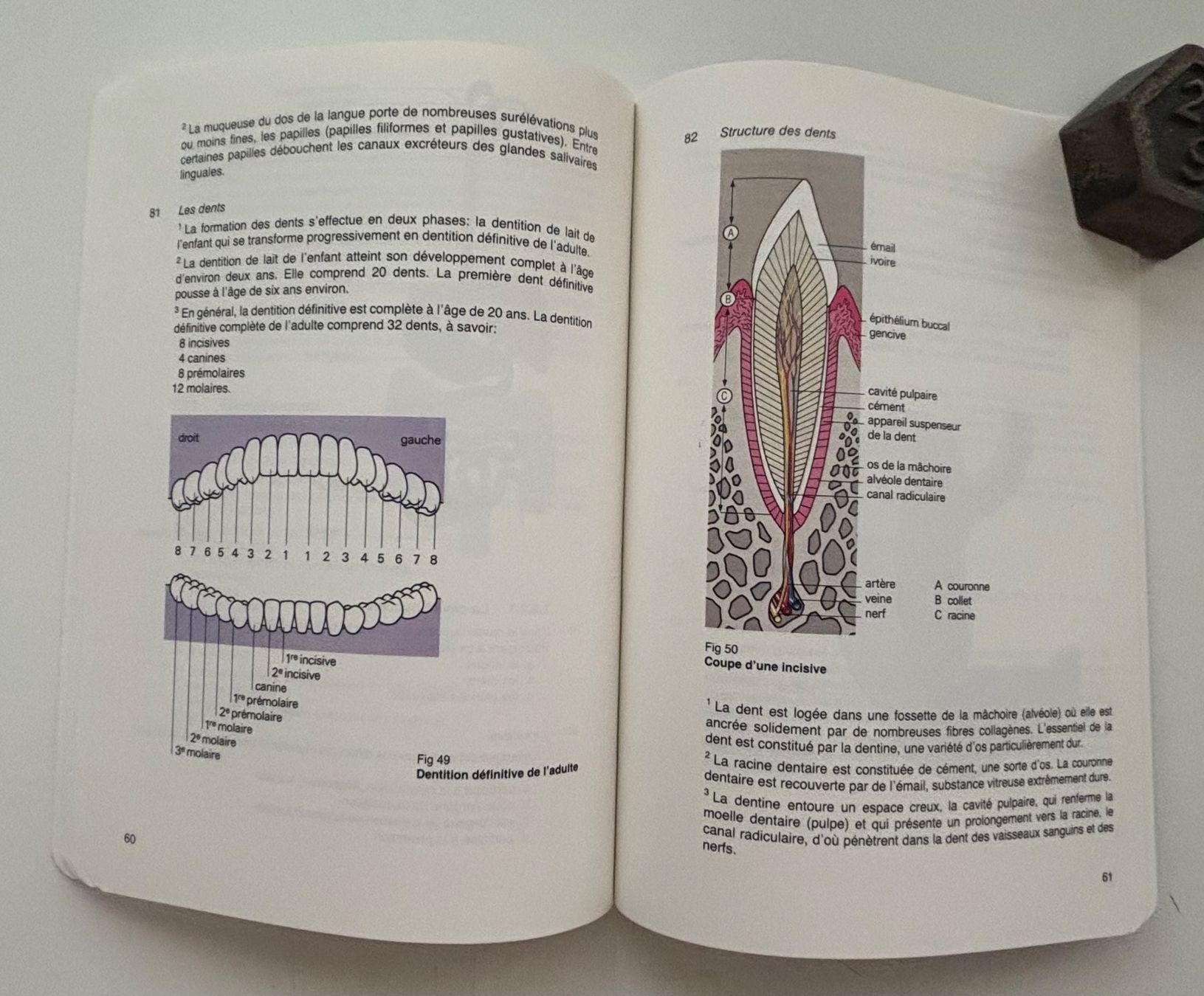 Libri: Armée Suisse - Instruction de base pour le service sanitaire – Usato da Neuchâtel venduto da gefdeneuch 8