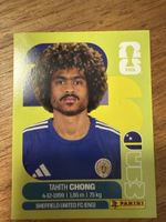 Panini Fifa CUW14