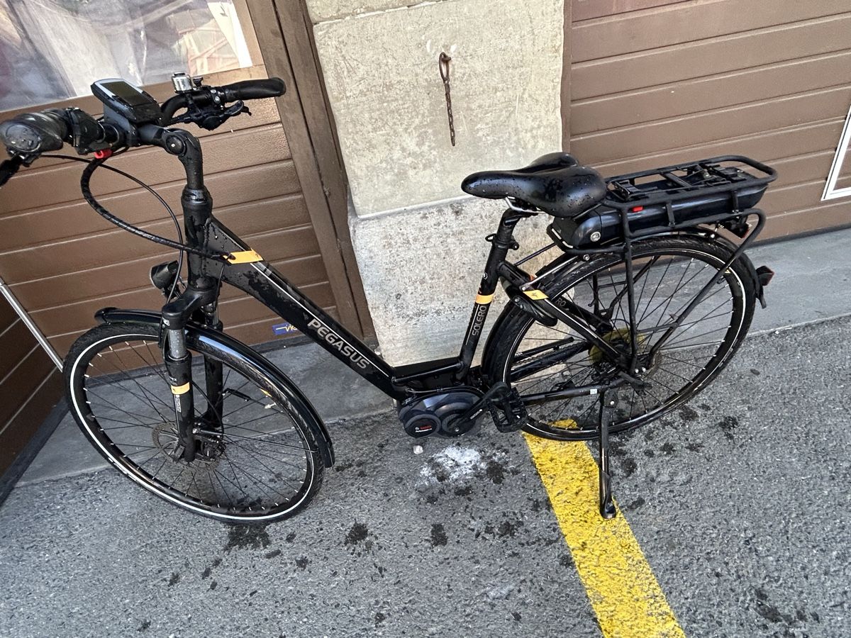 Bosch Velos: Vélo électrique Pegasus Solero 50, noir, Bosch Performance L – Gebraucht aus Thierrens von Bigla