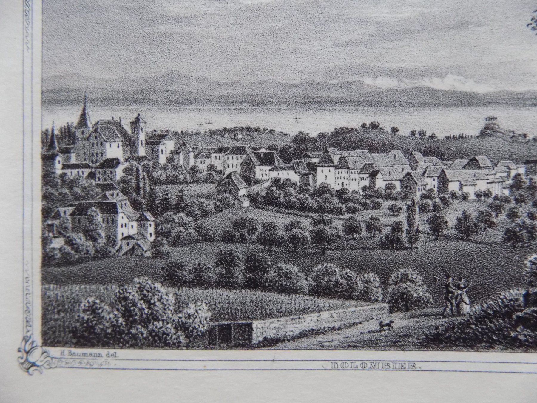Incisioni: Colombier Lithographie um 1855 – Usato da Risch venduto da Antikfee 3