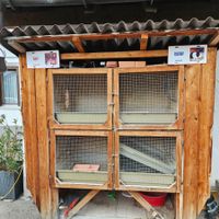 Grosser Kaninchenstall aus Holz gebraucht guter Zustand